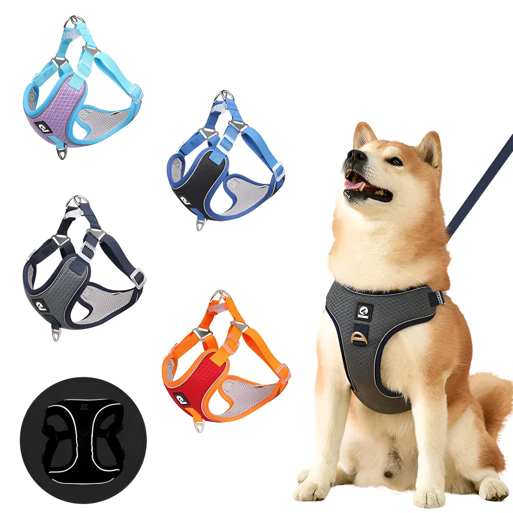 Adjustable mesh dog harness with reflective piping and leash in multiple colour options