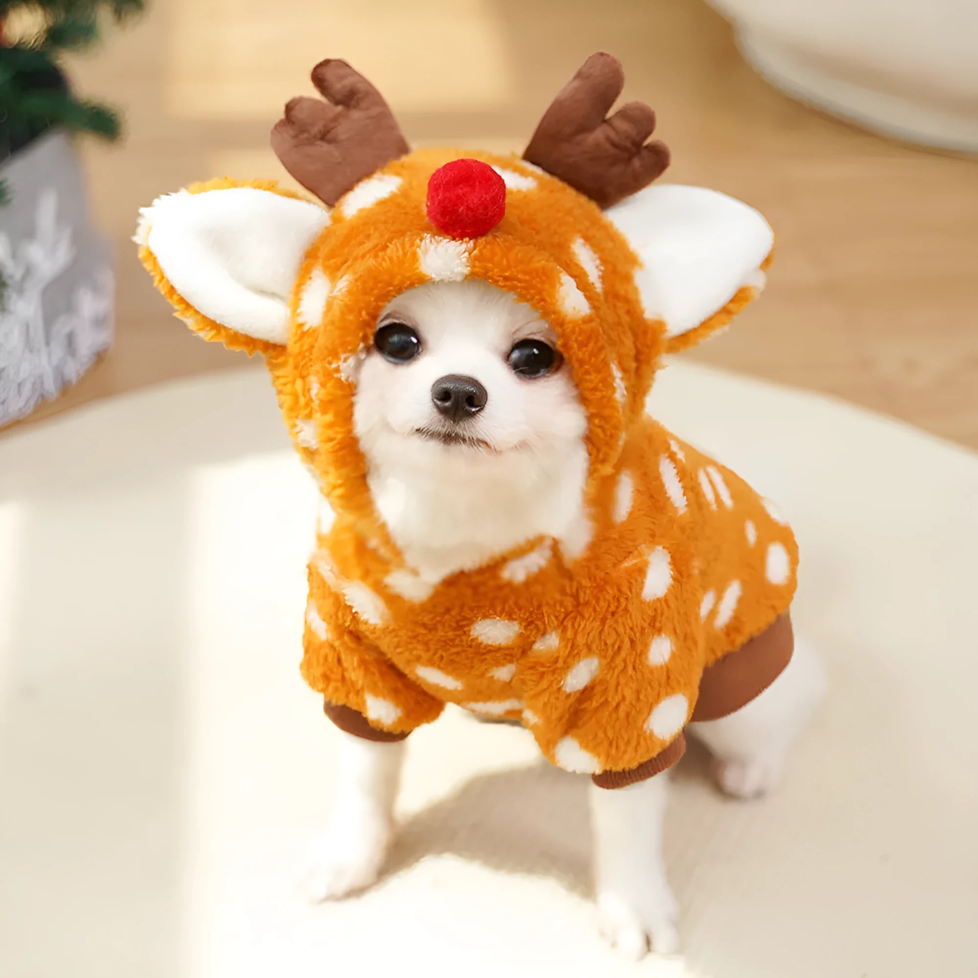 Elk design dog Christmas costume with fleece lining on a medium-sized dog.