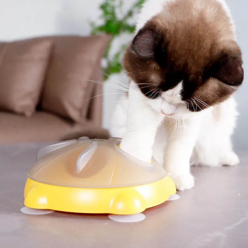 Yellow plastic cat feeding plate with maze design and obstacle ridges for slow feeding