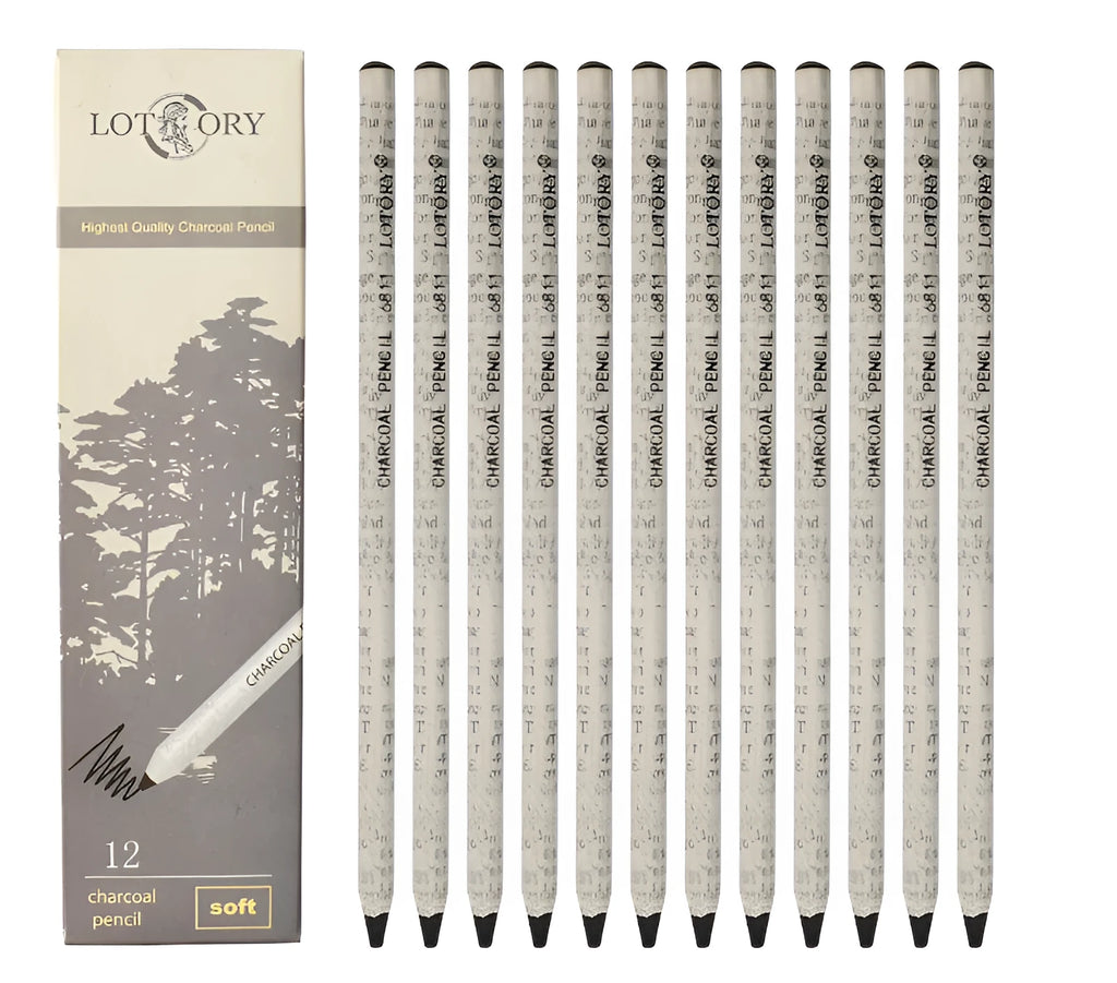 Professional charcoal pencil art set with multiple hardness grades and soft carbon sticks for sketching