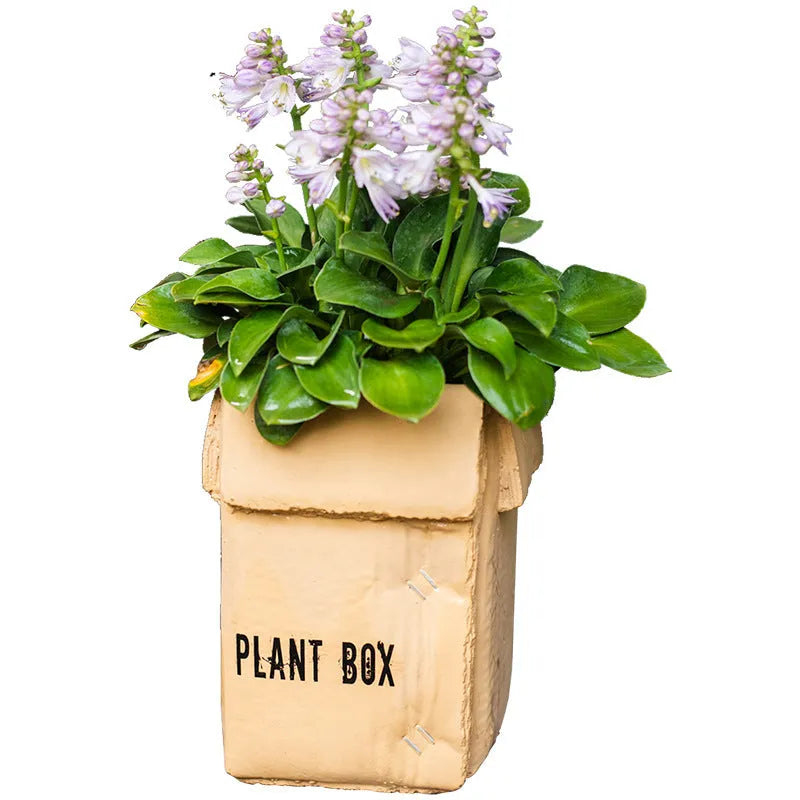 Cement flowerpot with brown paper box finish and drainage holes in bottom