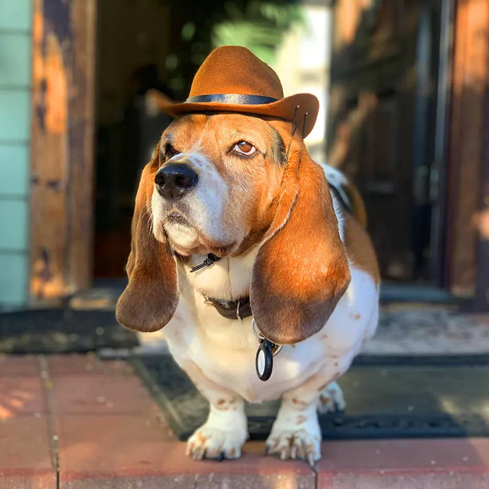 Adjustable pet cowboy hat headgear shown in four colours with size measurements for dog and cat costume use
