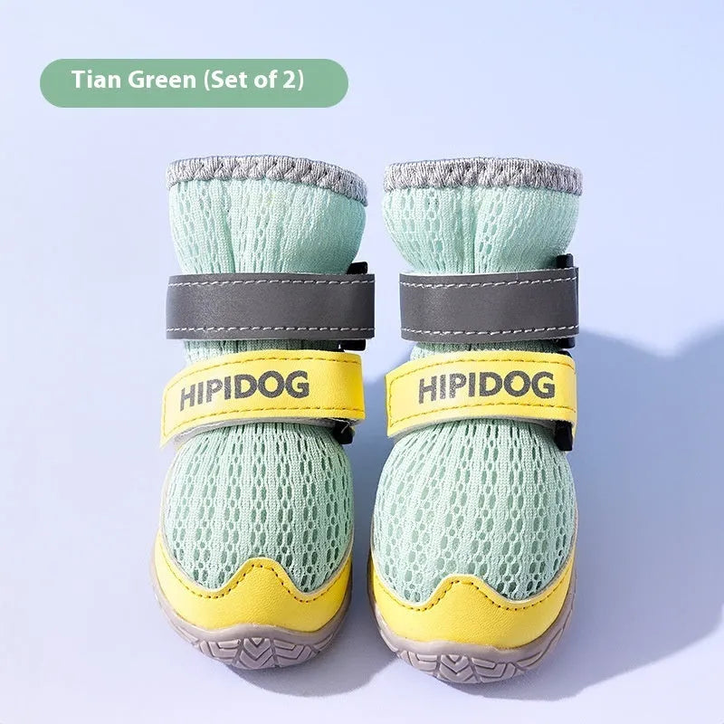 Cartoon style blue and green breathable dog shoes with adjustable strap on a pet's paw.