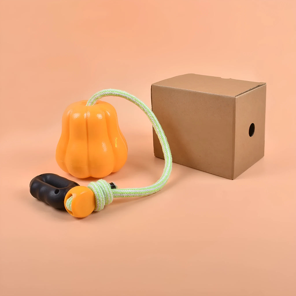 Orange pumpkin-shaped plastic dog ball with a blue rope handle for fetch and tug
