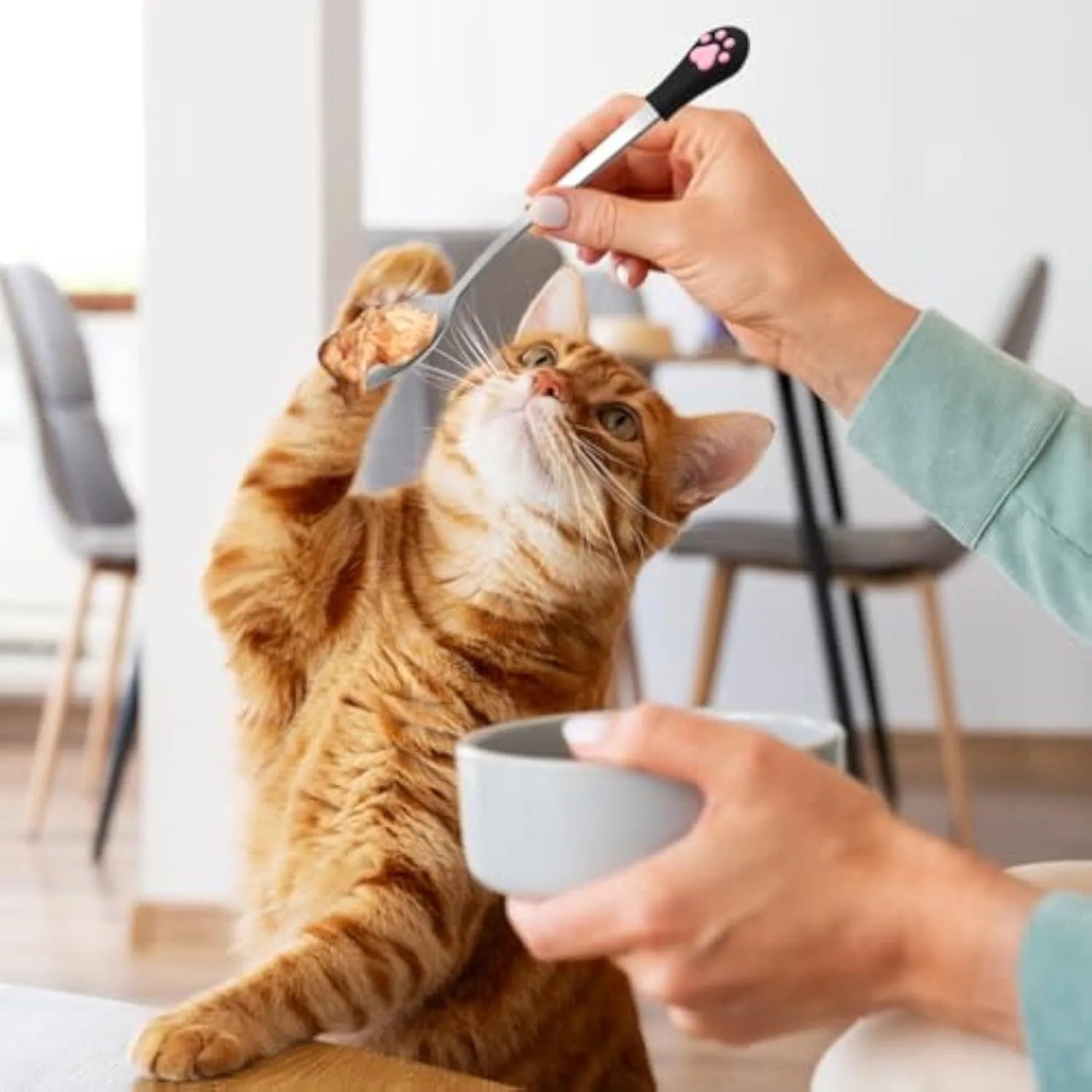 Two pet food spoons with cat paw designs in white and black colours
