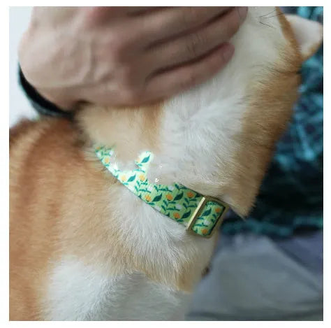 Flower pattern nylon ribbon pet collar for dogs and cats shown in Hanada colour on size L.