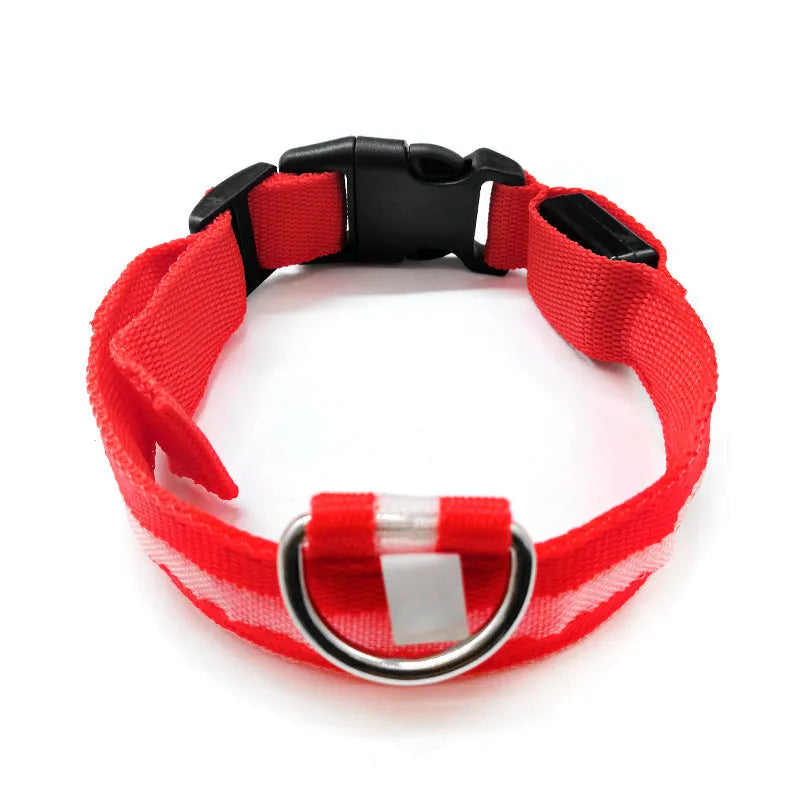 Anti-lost luminous dog collar nylon webbing with battery option in blue colour on white background
