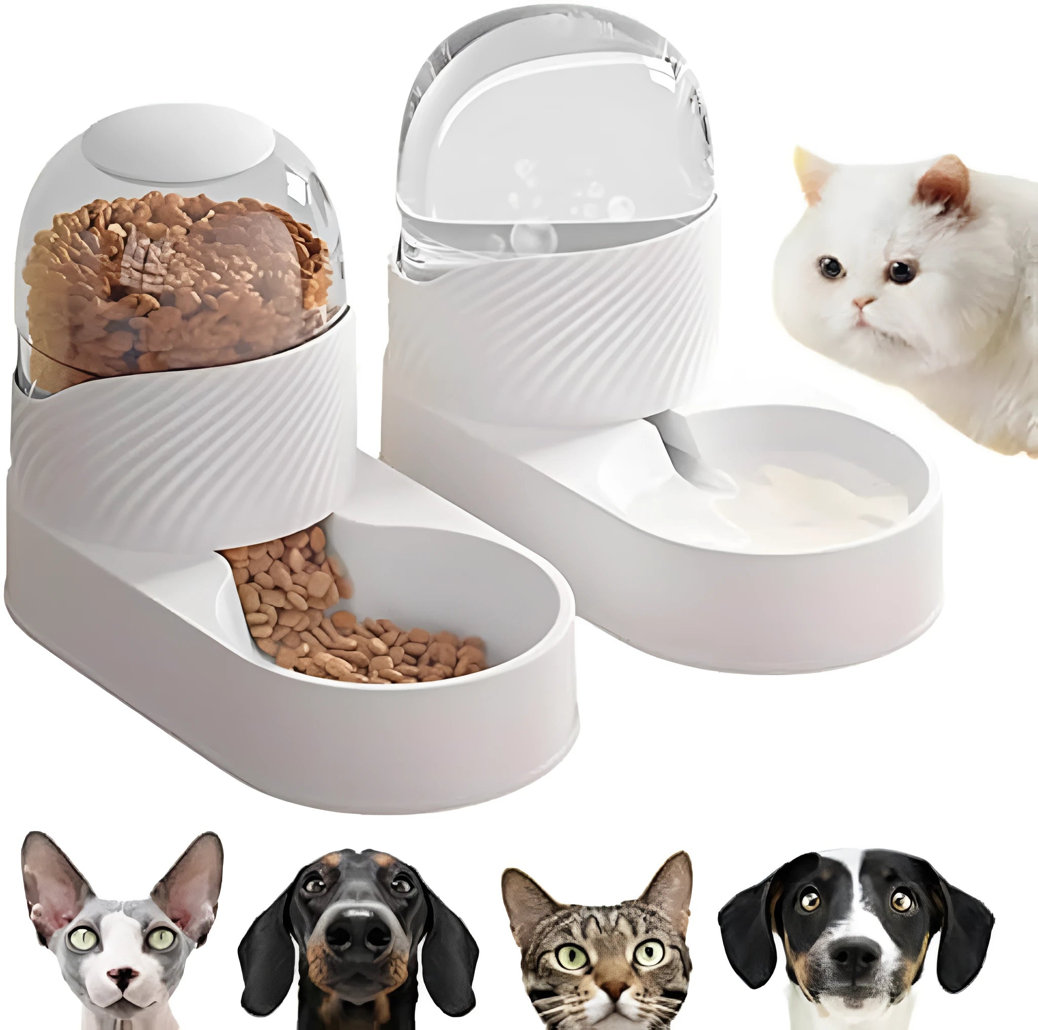 White plastic cat feeder and water dispenser set with wave-shaped design