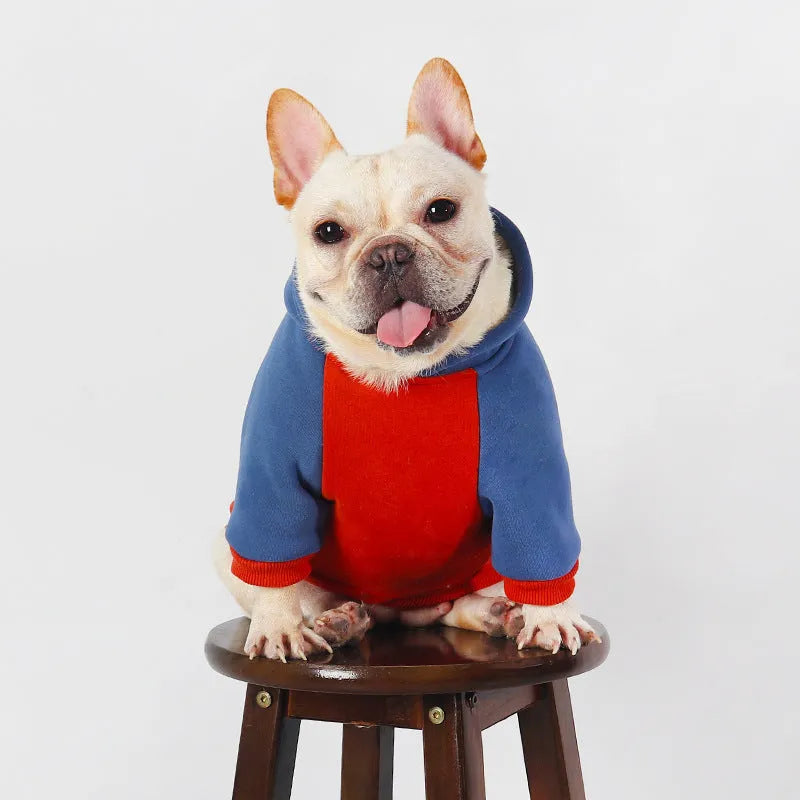 Red cotton dog clothing for small and medium breeds including Teddy and Corgi in autumn winter design