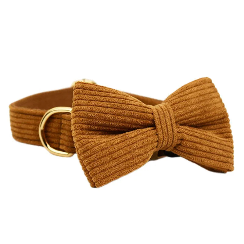 Caramel corduroy five-piece pet collar set with bow, vest, and poop bag on a dog