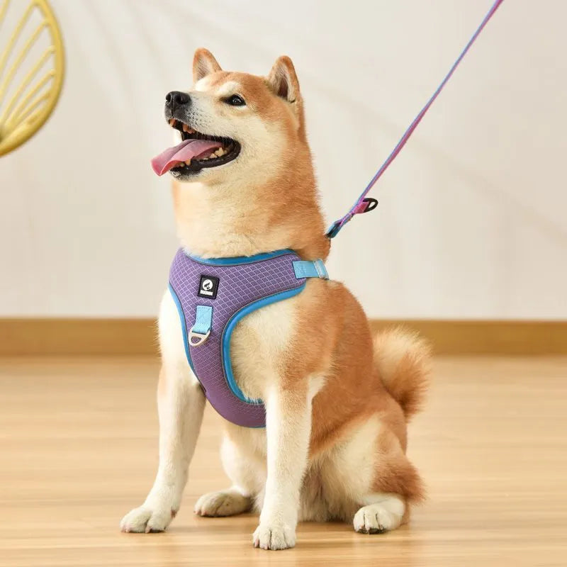 Adjustable mesh dog harness with reflective piping and leash in multiple colour options
