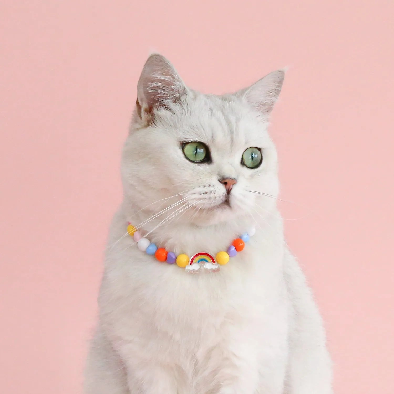 Colourful pearl bead pet necklace in small flower, rainbow, or peach designs with adjustable sizing for cats and small dogs.