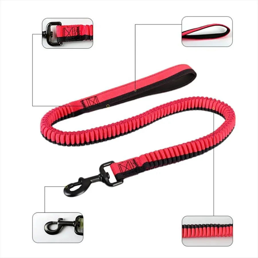 Tactical elastic dog training leash with zinc alloy clip in red colour for medium and large breeds