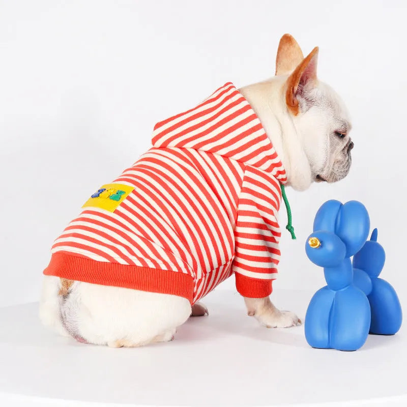 Orange cotton hooded sweater on a dog, showing the front and hood design.