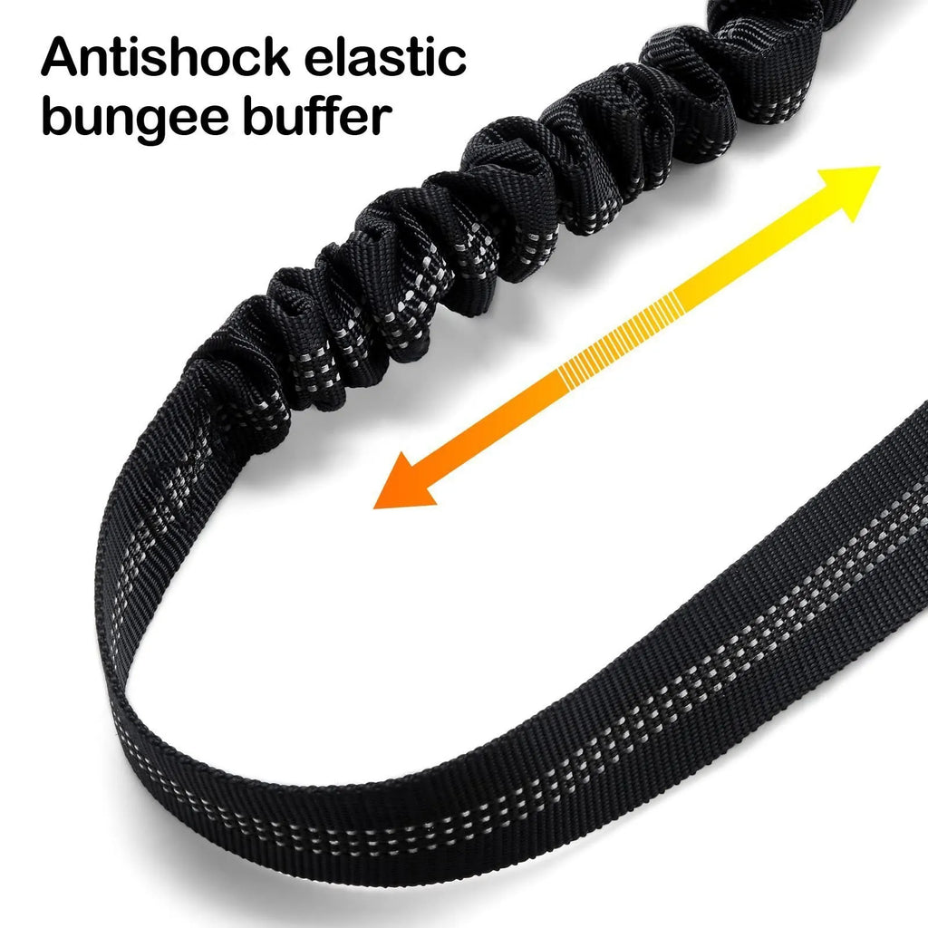 Nylon dog leash with metal buckle in one of eleven colours including army green, black, pink, and red.