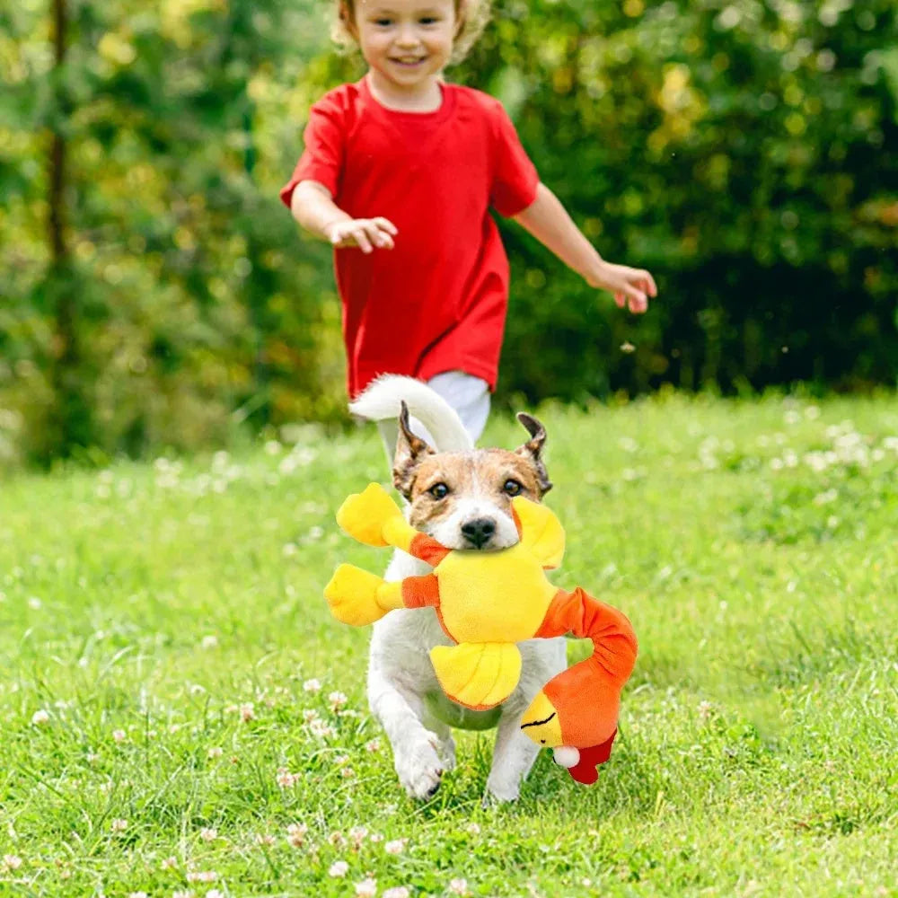 Screaming chicken sound dog toy in black, green, or orange colours
