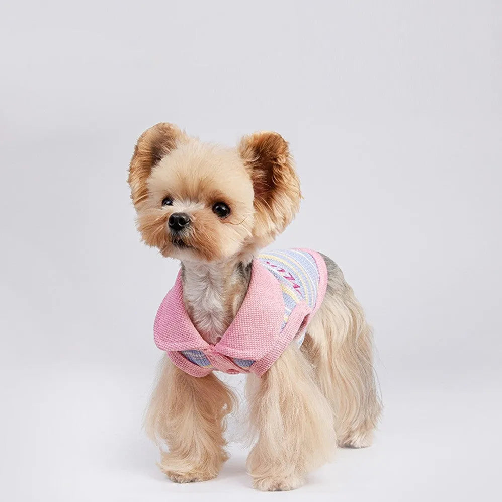 Pink purple vest for a small dog, shown as an autumn coat.