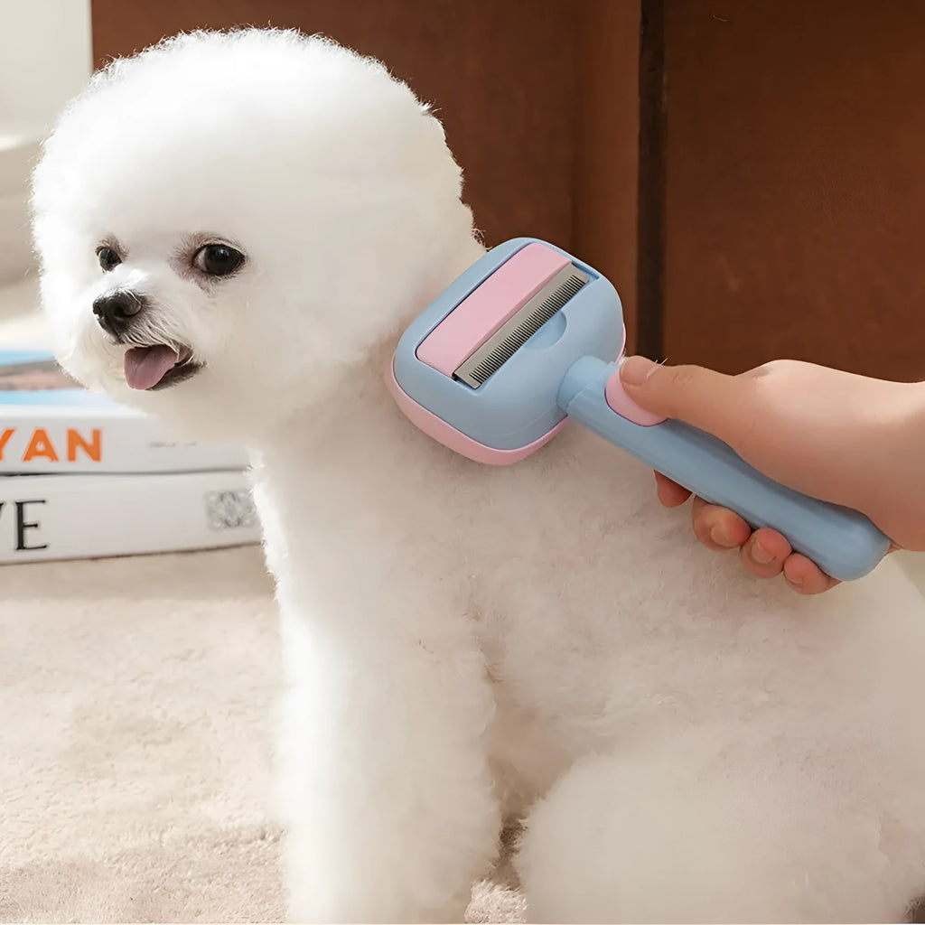 Blue double-sided pet grooming brush showing undercoat rake and dematting comb on a white background.