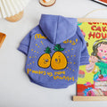 Blue and purple cartoon printed cotton pet hoodie for winter wear