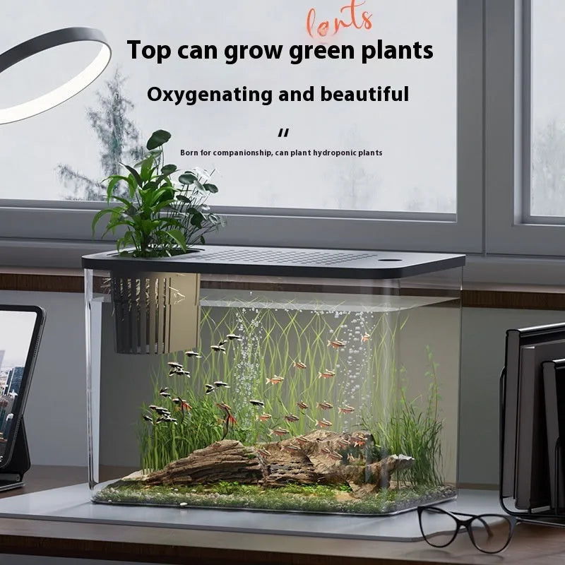 A medium-sized transparent plastic Betta fish tank with a black cover, measuring 32cm long.