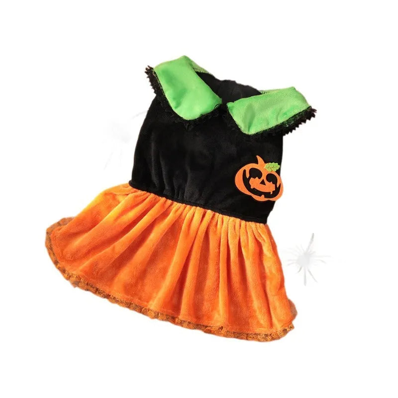 Halloween pumpkin skirt and sweater pet costumes in crystal velvet for small dogs and cats