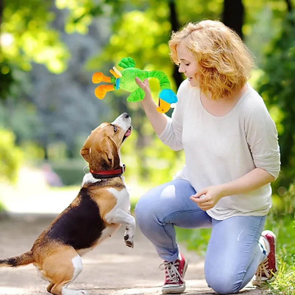 Screaming chicken sound dog toy in black, green, or orange colours