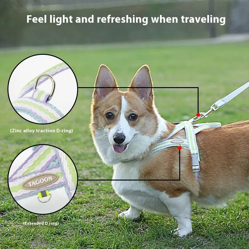 Lightweight dog harness and 1.4-metre walking rope set in various colours on a size chart