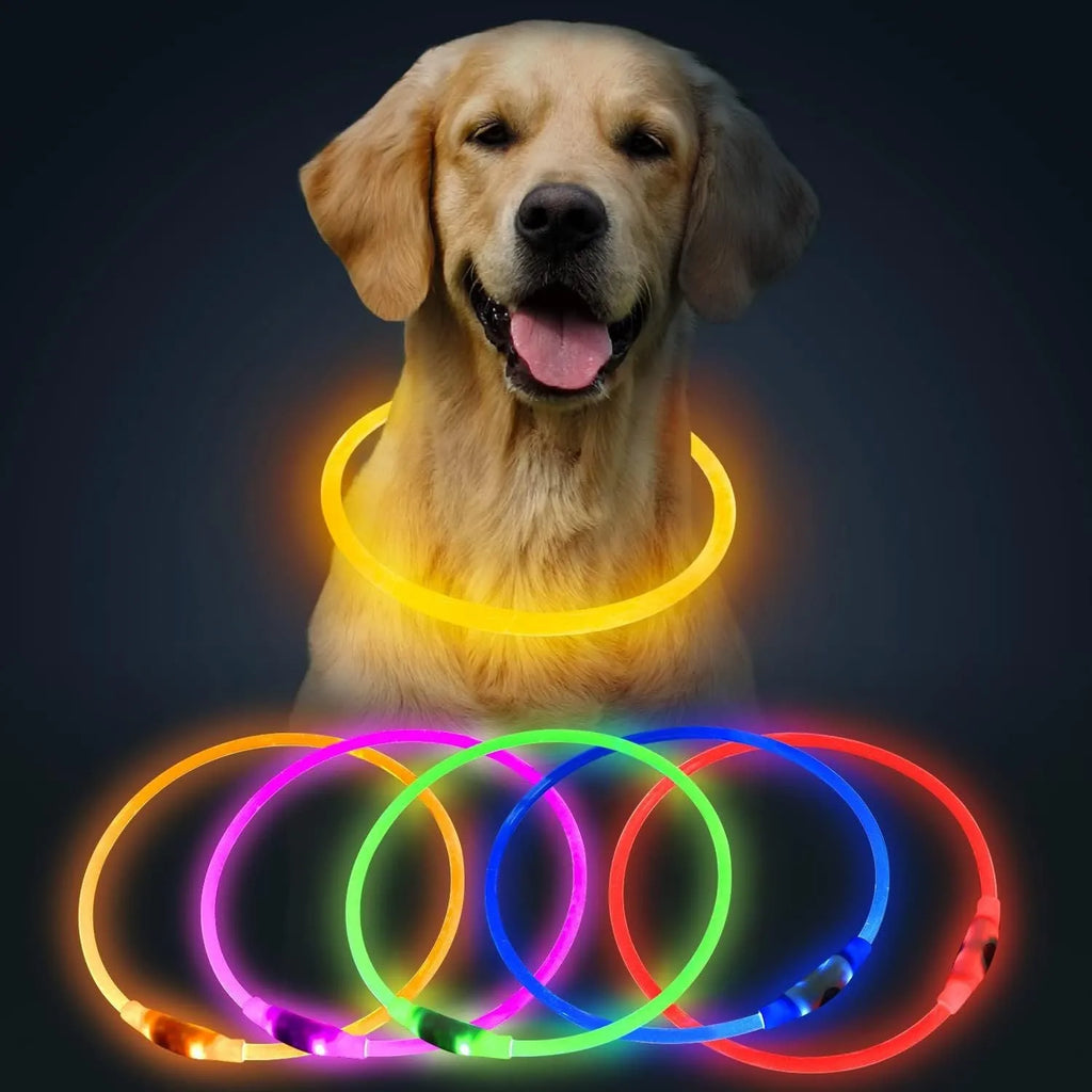 USB rechargeable LED dog collar showing blue illuminated light and adjustable 70cm TPU strap