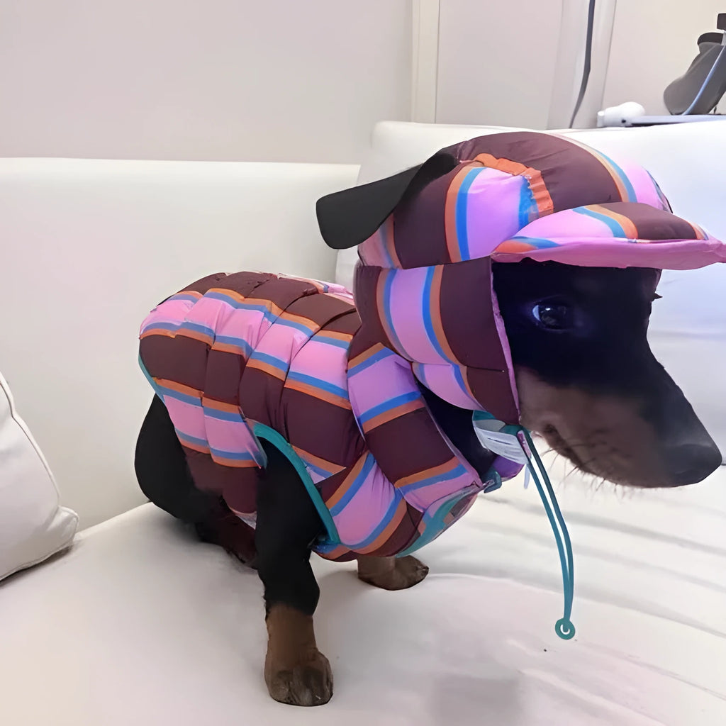 Striped knitted dog vest with matching hat in dirty pink colour for autumn and winter pet wear