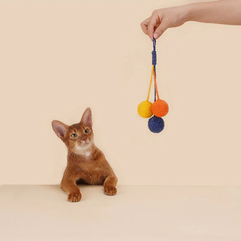 Cat teaser toy stick set with bite-resistant catnip ball measuring 255mm with blue, green, red yellow blue colour options
