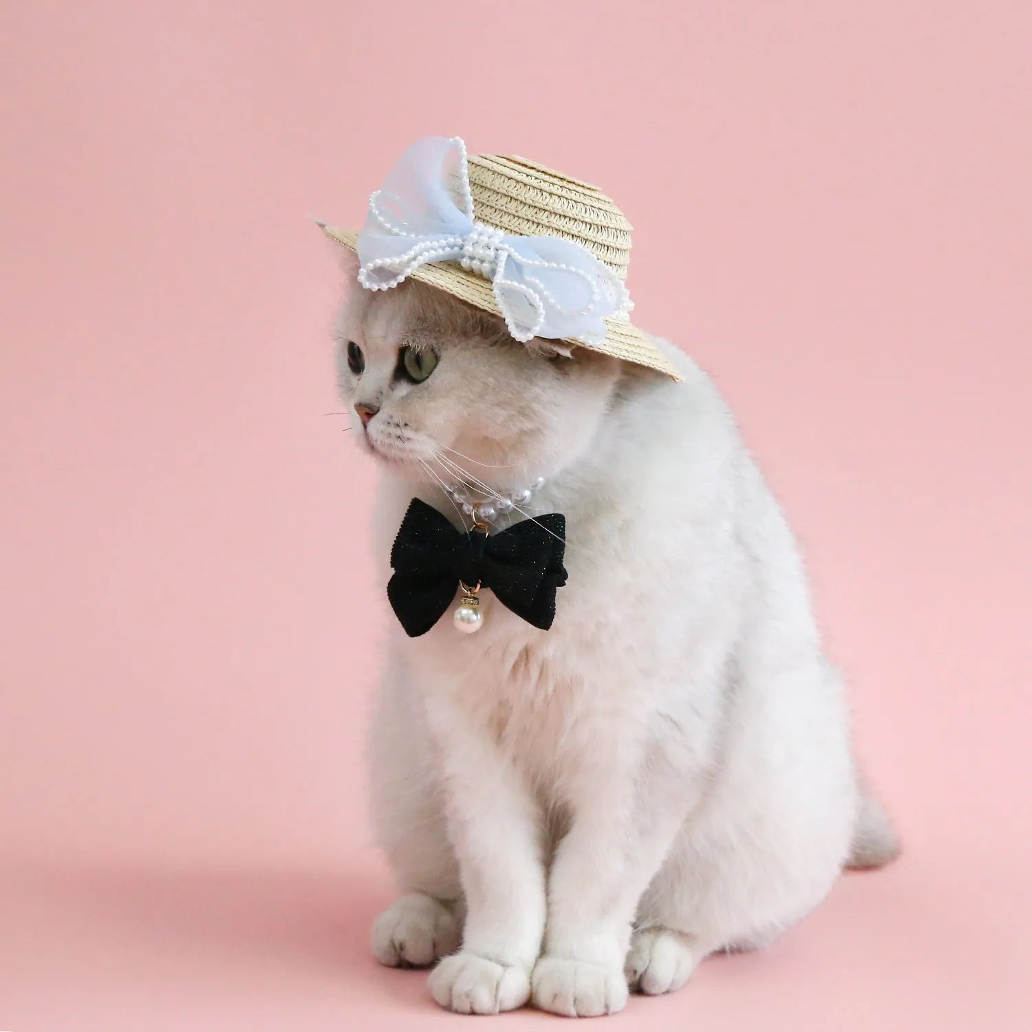 Woven straw hat with pearl bow decoration for cats, available in four colours and two sizes