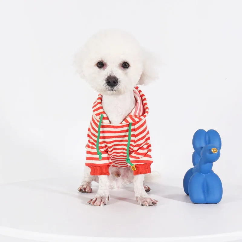 Orange cotton hooded sweater on a dog, showing the front and hood design.