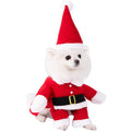 Halloween dog costume selection showing bat suit, devil outfit, and space clothing styles for pets