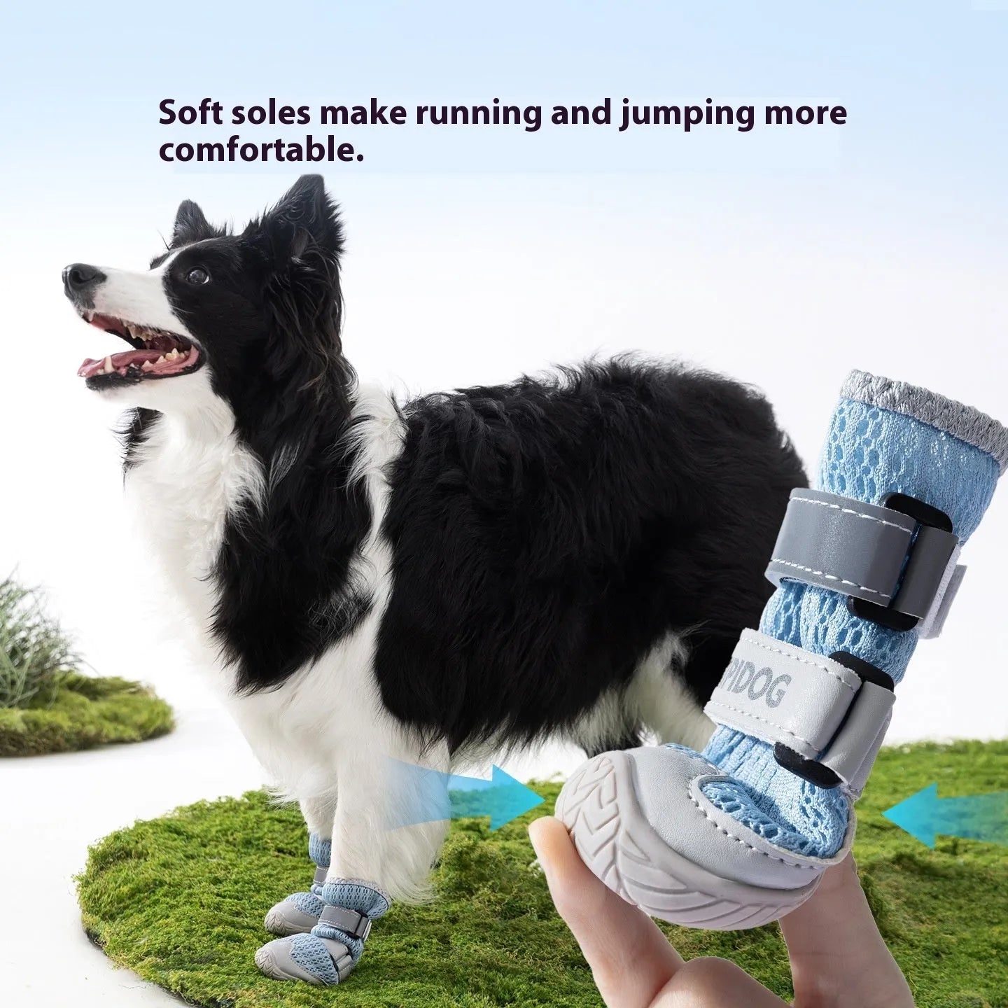 Cartoon style blue and green breathable dog shoes with adjustable strap on a pet's paw.