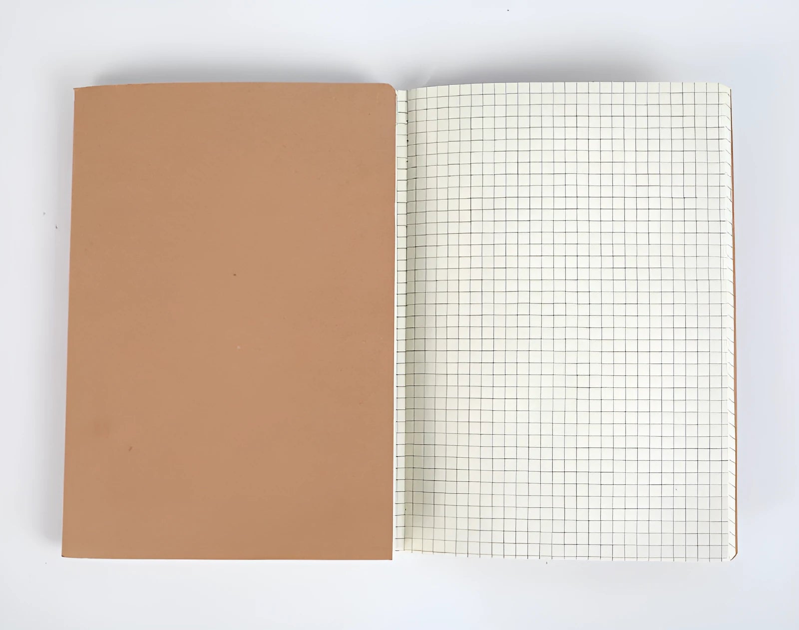 Beige leather thread-bound notebook open showing soft paper with ruled lines.