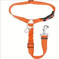 Nylon dog leash with metal buckle in one of eleven colours including army green, black, pink, and red.