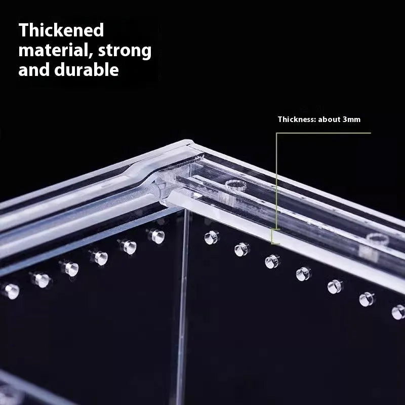 Clear acrylic reptile feeding box with crawl-through opening showing size options
