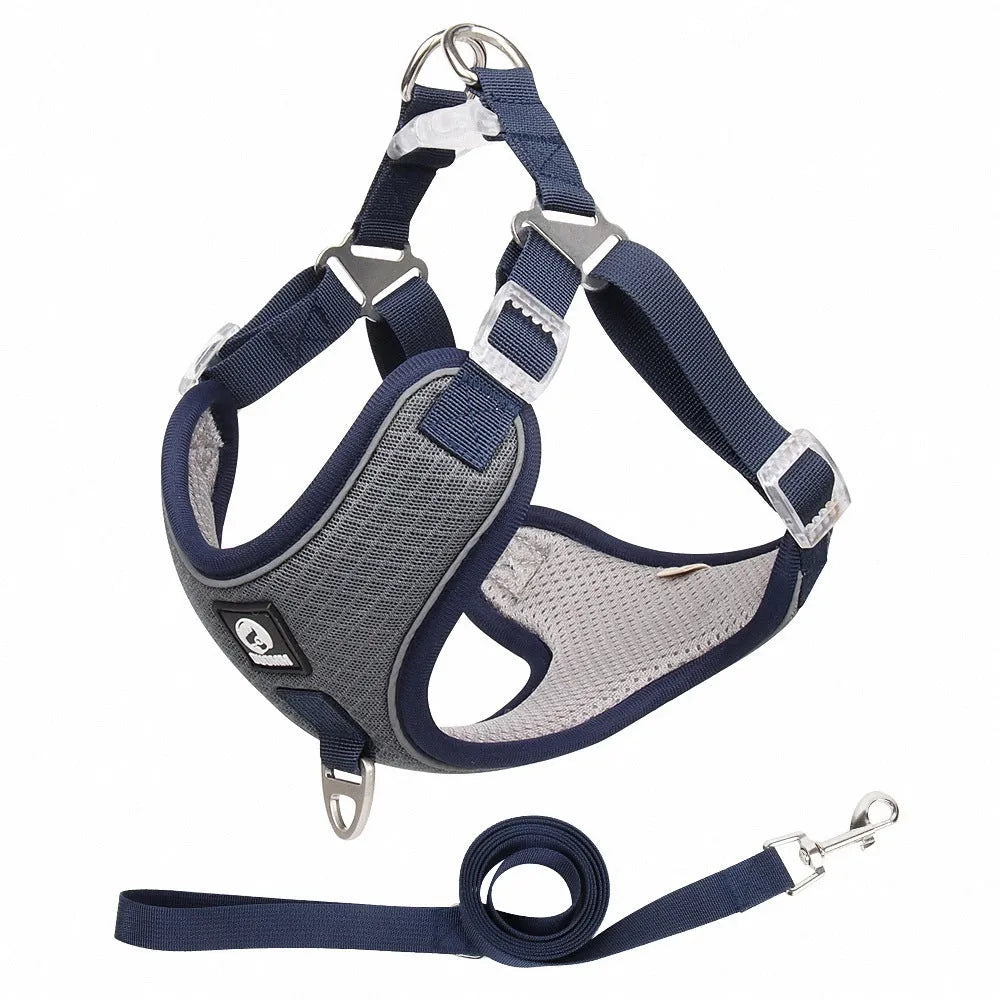 Adjustable mesh dog harness with reflective piping and leash in multiple colour options