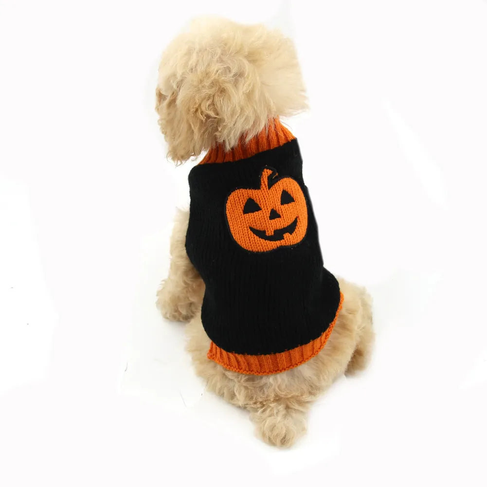 Dog wearing a knitted pumpkin sweater in orange black pumpkin colour, standing on a wooden floor