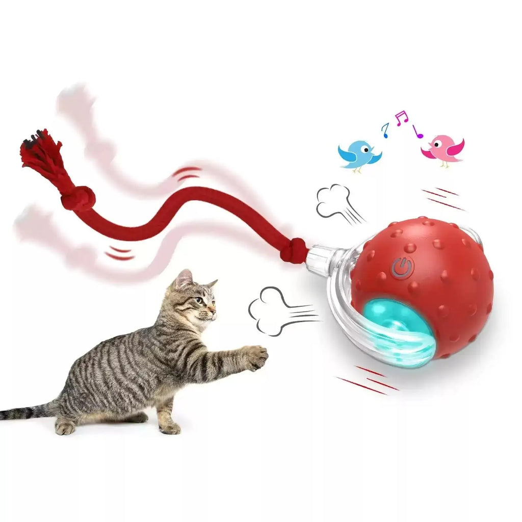 Red cat rolling ball toy with jingle bell for interactive indoor play with cats and kittens