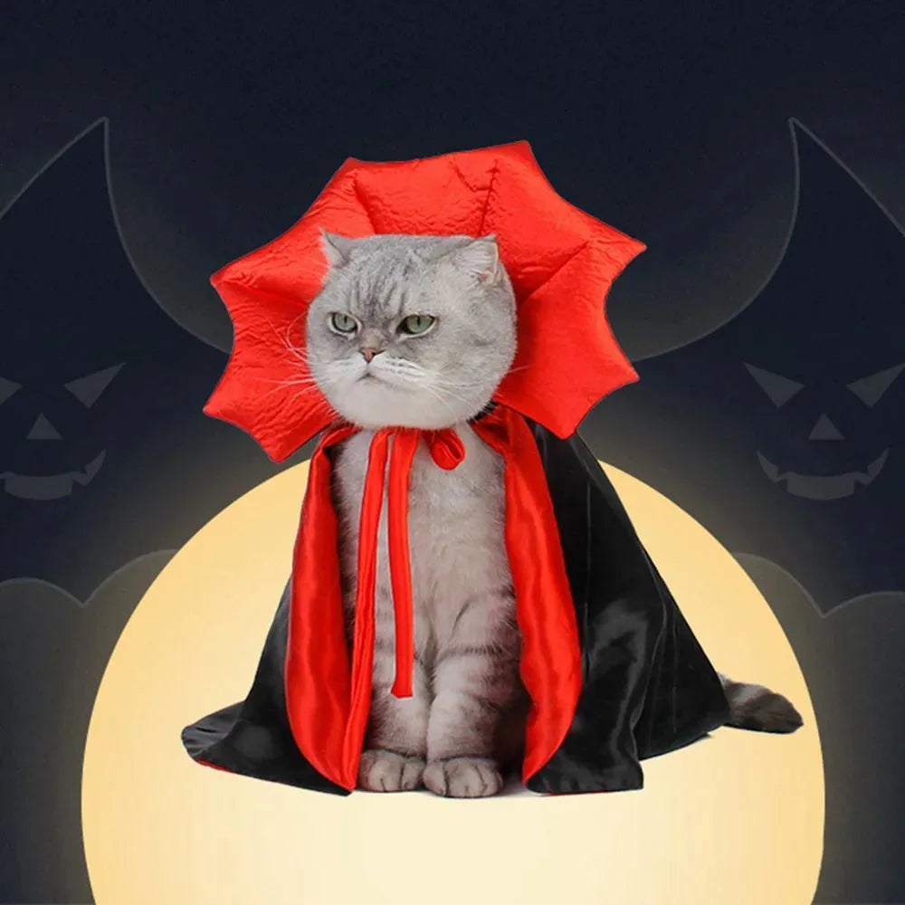 Small black vampire cloak costume on a mannequin, showing sizing for a pet.