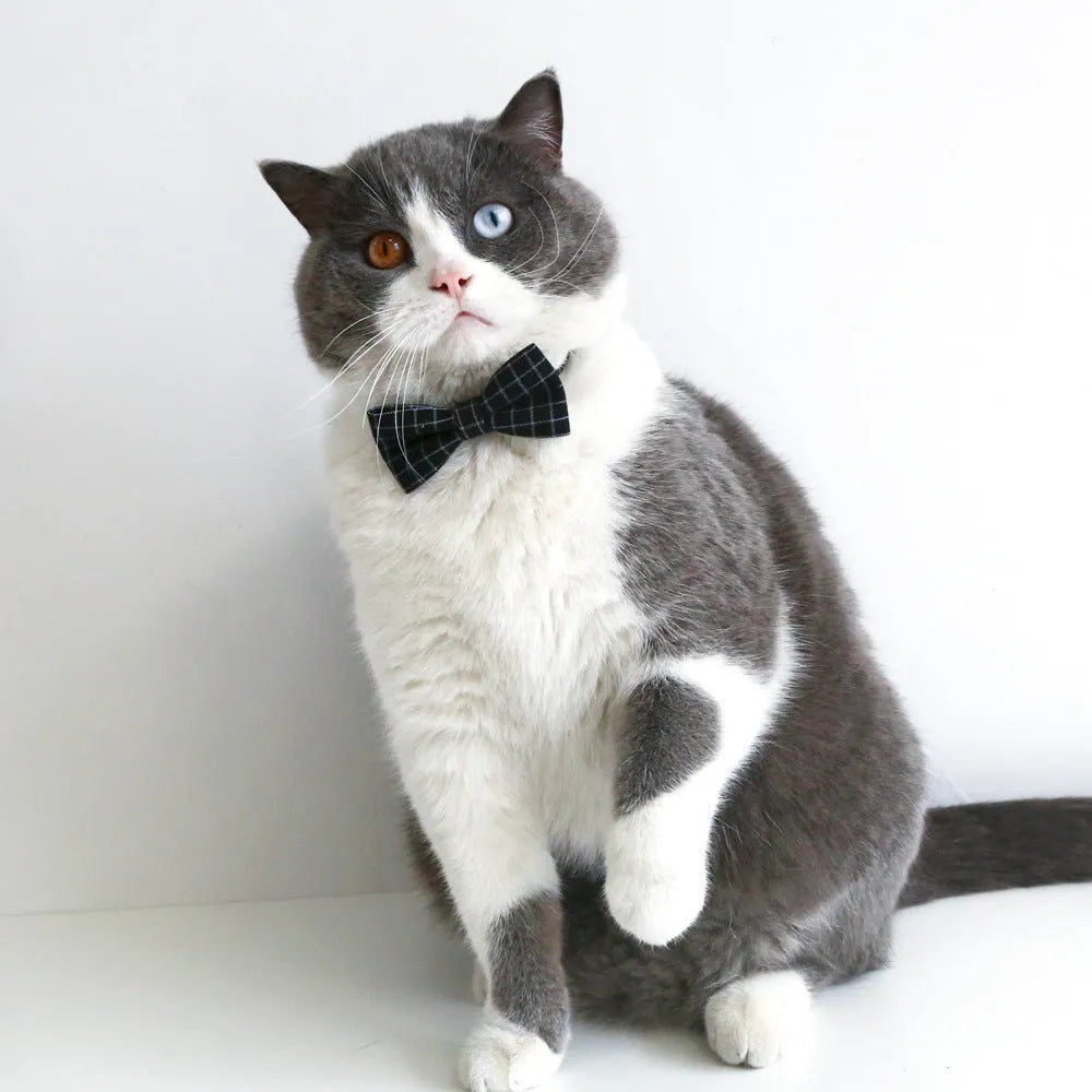 Wool felt elastic hair band and matching bow tie for small dogs and cats in yellow, red, green, or black plaid.