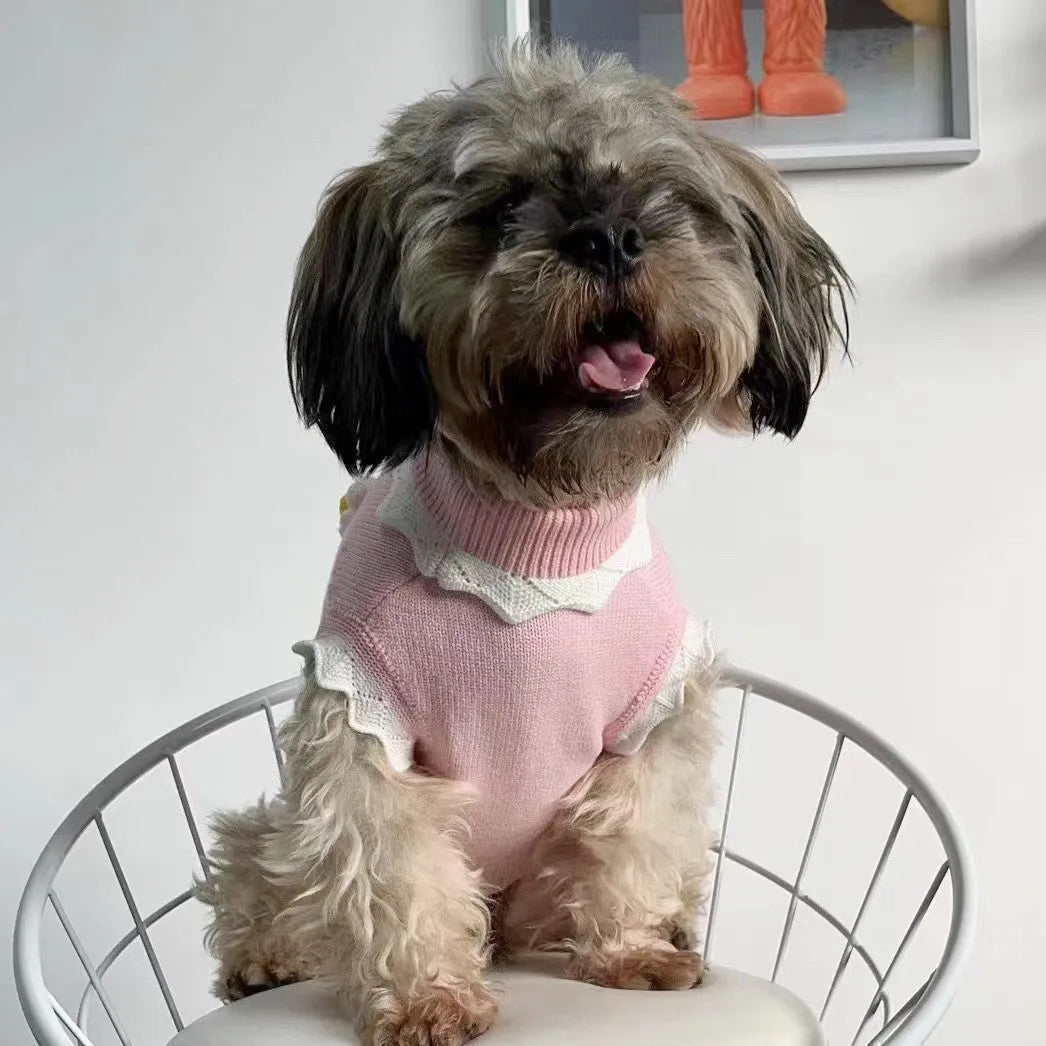 Green knitted sleeveless dog sweater vest with flower pattern on a small dog.