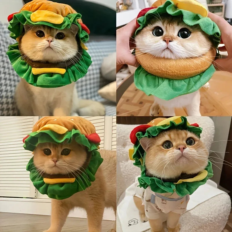 Cat wearing burger-shaped fabric headdress collar with adjustable fastening