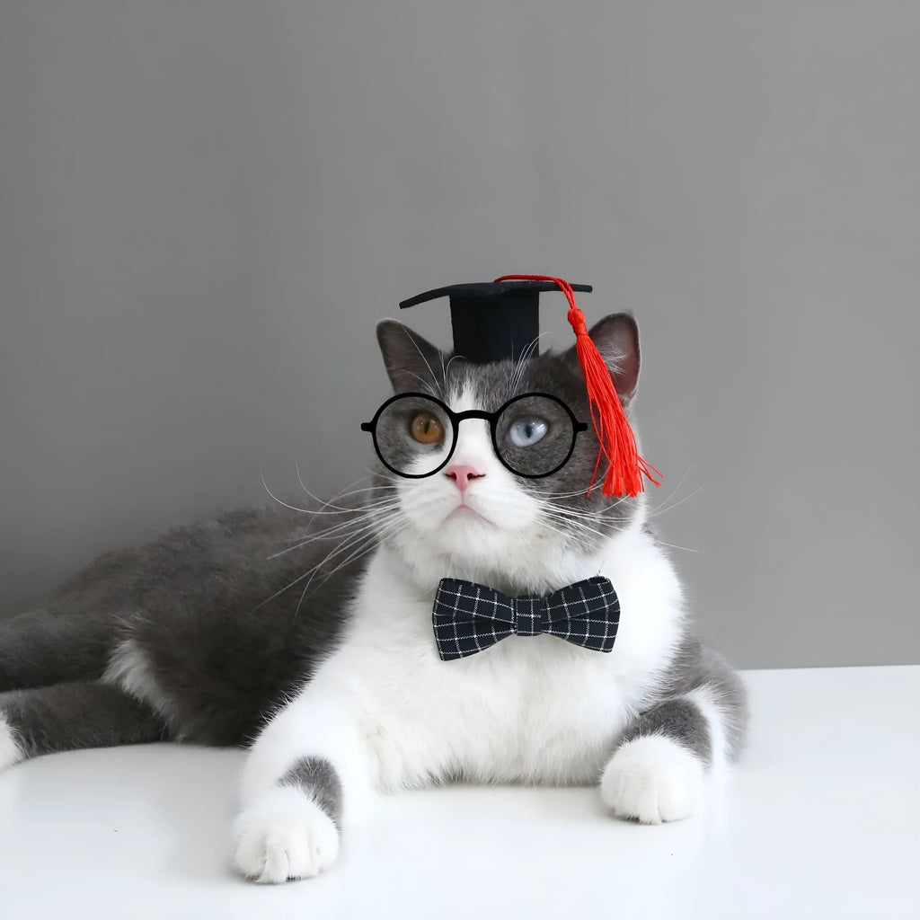 Wool felt elastic hair band and matching bow tie for small dogs and cats in yellow, red, green, or black plaid.