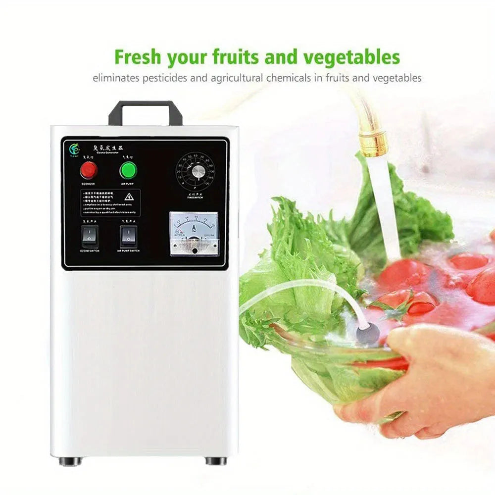 Stainless steel and white ozone generator for fruits and vegetables with 20g/h output.