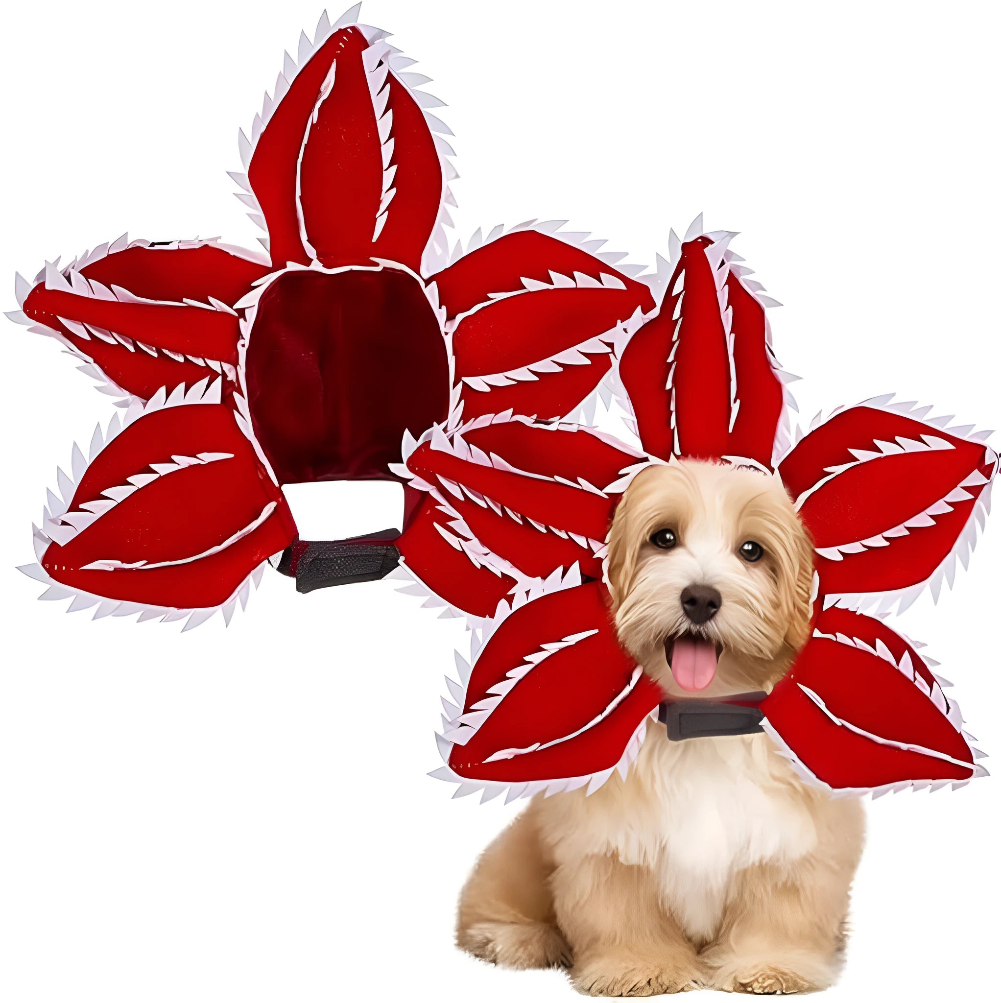 Medium dog wearing Halloween demon chomper costume with scary flower headband
