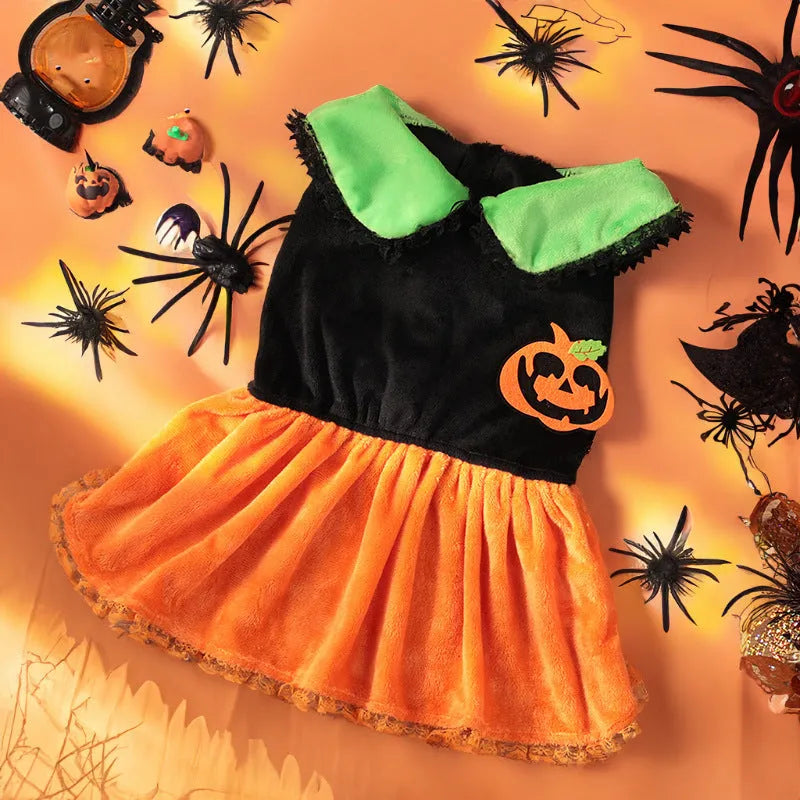 Halloween pumpkin skirt and sweater pet costumes in crystal velvet for small dogs and cats