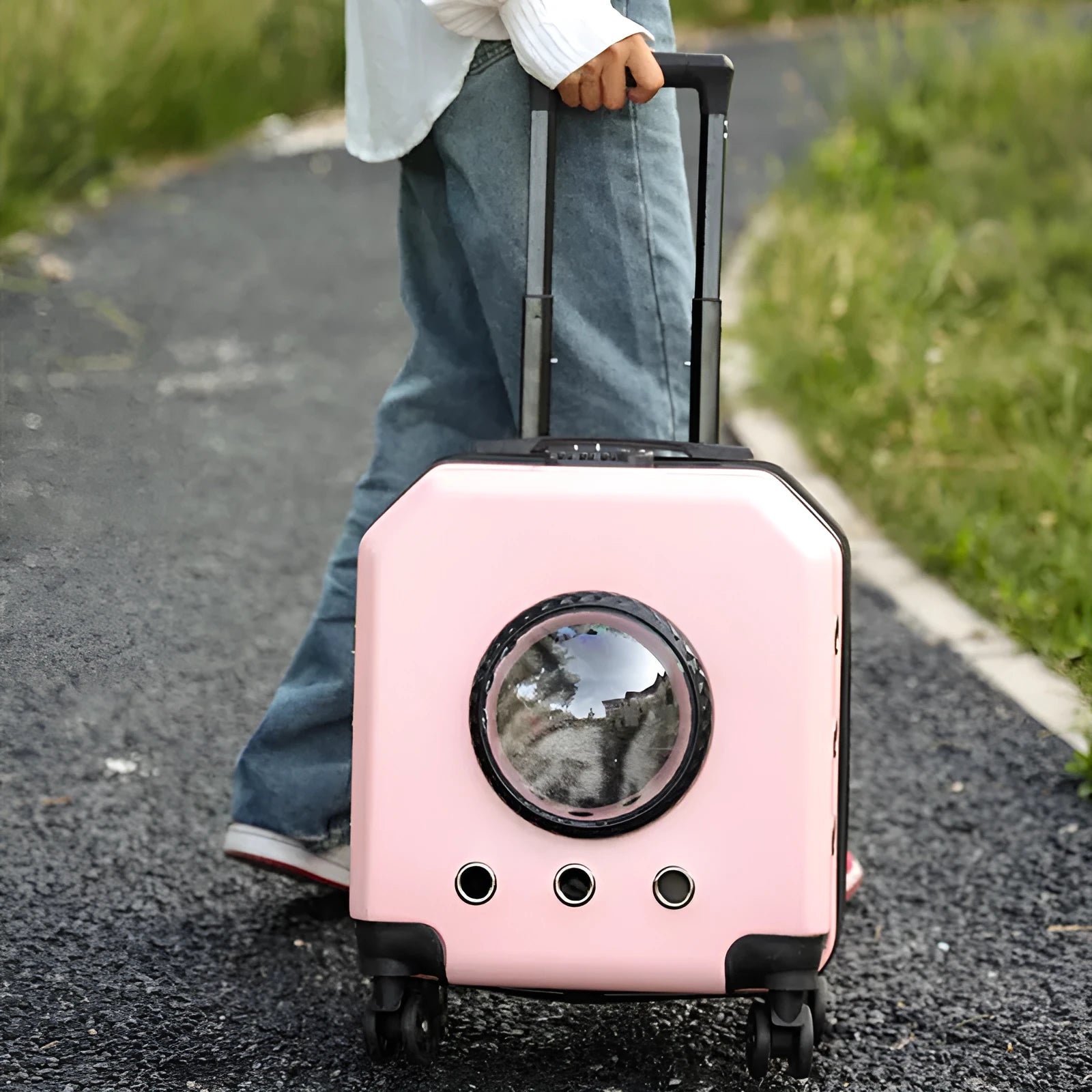 Hard-shell pet flight case with trolley wheels in burgundy colour