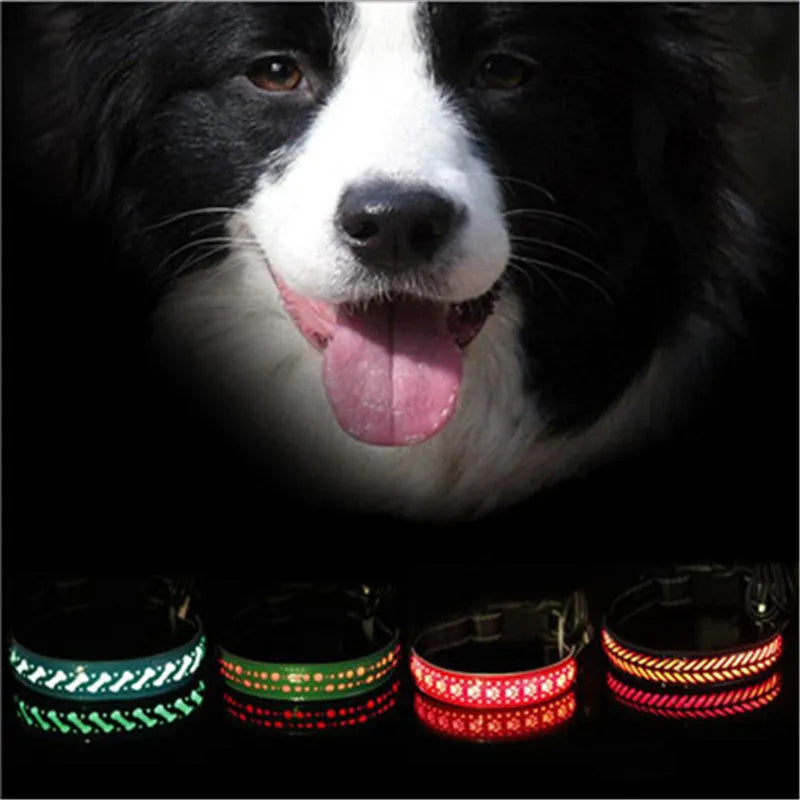 LED light pet collar USB rechargeable adjustable 40-60cm length 2.5cm width for dogs cats